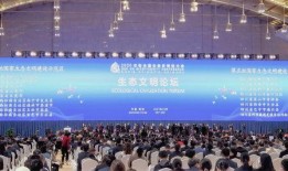 成都武侯区最新爆料消息,揭秘区域发展新动态与未来规划